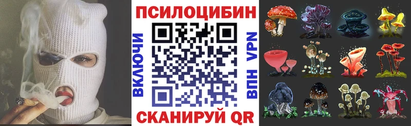 Галлюциногенные грибы Psilocybine cubensis  Губкин 